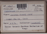 Image Associated With the Occurence